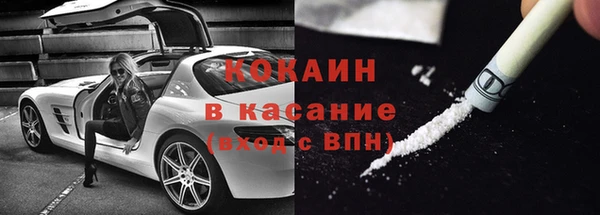 молекула духа Арсеньев