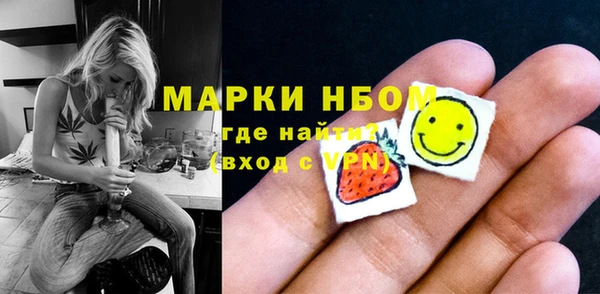 молекула духа Арсеньев