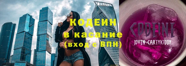 молекула духа Арсеньев
