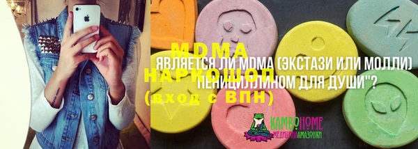 молекула духа Арсеньев