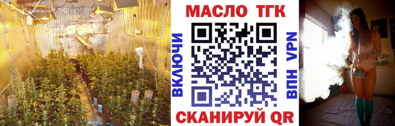 ТГК концентрат  Купить закладки  Краснозаводск 