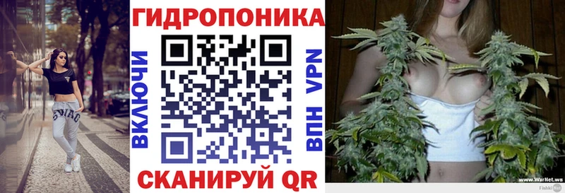 Бошки марихуана индика  Купить где  Краснозаводск 